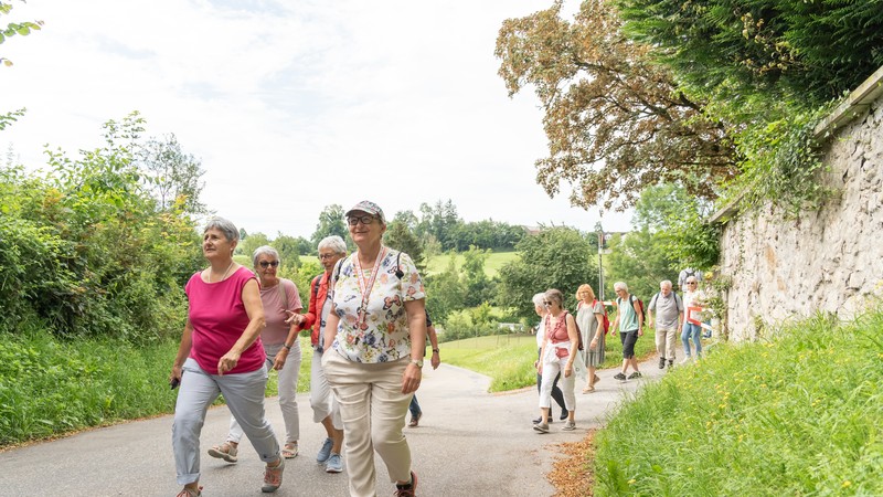 Ältere Menschen spazieren zusammen draussen in der Natur.